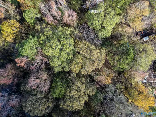 5039 Danville Road SW, Hartselle, AL 35640