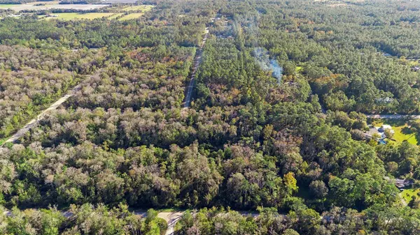 4125 EVERGREEN AVE, Bunnell, FL 32110