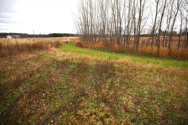 2416 W 136th Street, Grant, MI 49327