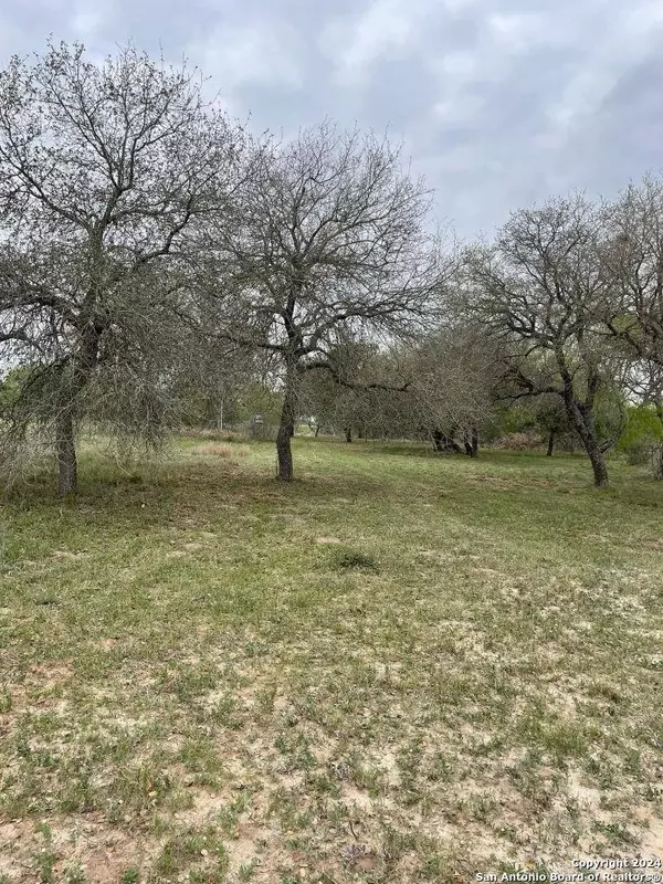 5106 State Highway 173, Bigfoot, TX 78005