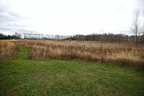 2416 W 136th Street, Grant, MI 49327