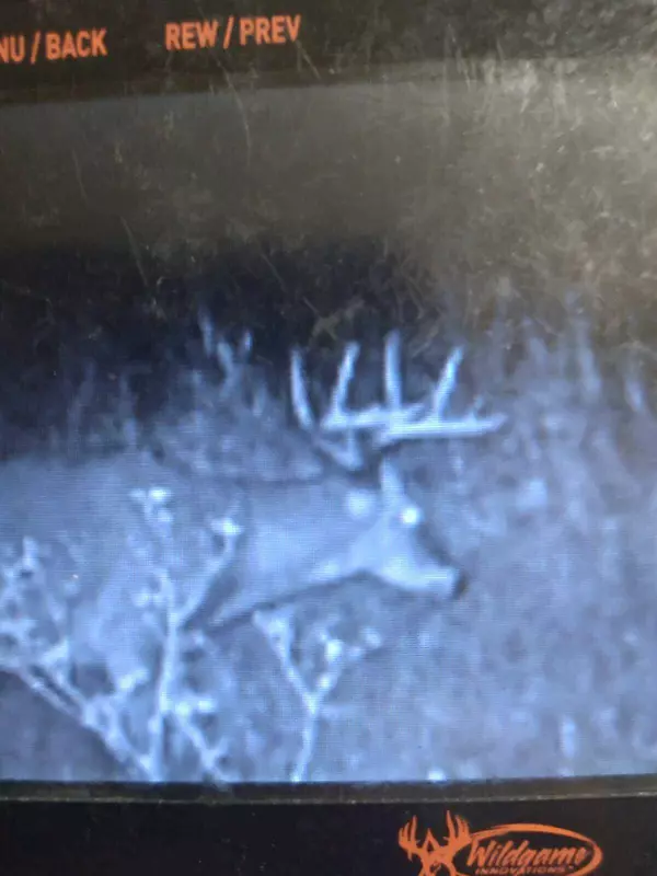 2416 W 136th Street, Grant, MI 49327