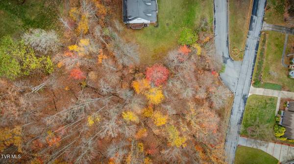 Tbd Oak Forest (Lot 24) PL, Kingsport, TN 37664