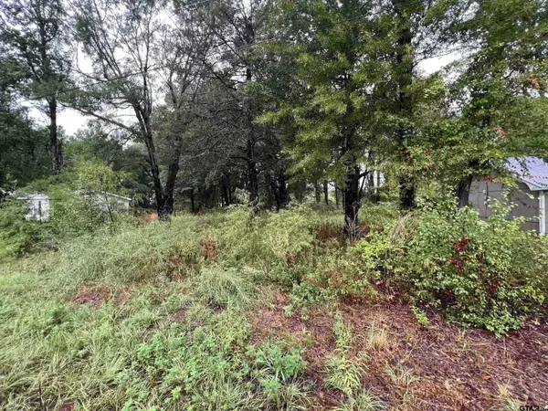 17422 Patrick St, Flint, TX 75762