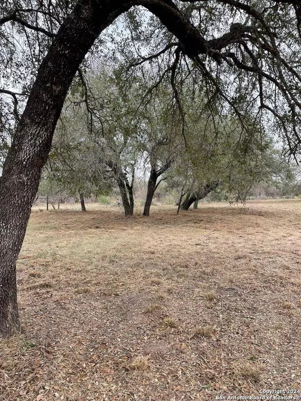 5106 State Highway 173, Bigfoot, TX 78005