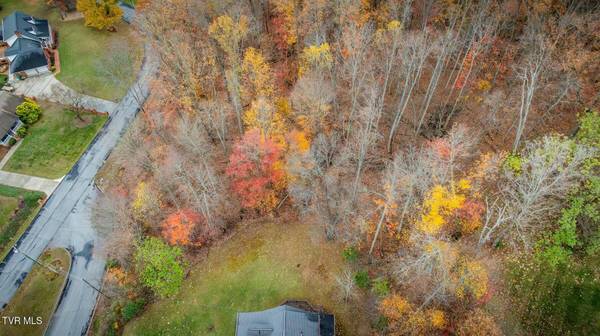 Tbd Oak Forest (Lot 24) PL, Kingsport, TN 37664