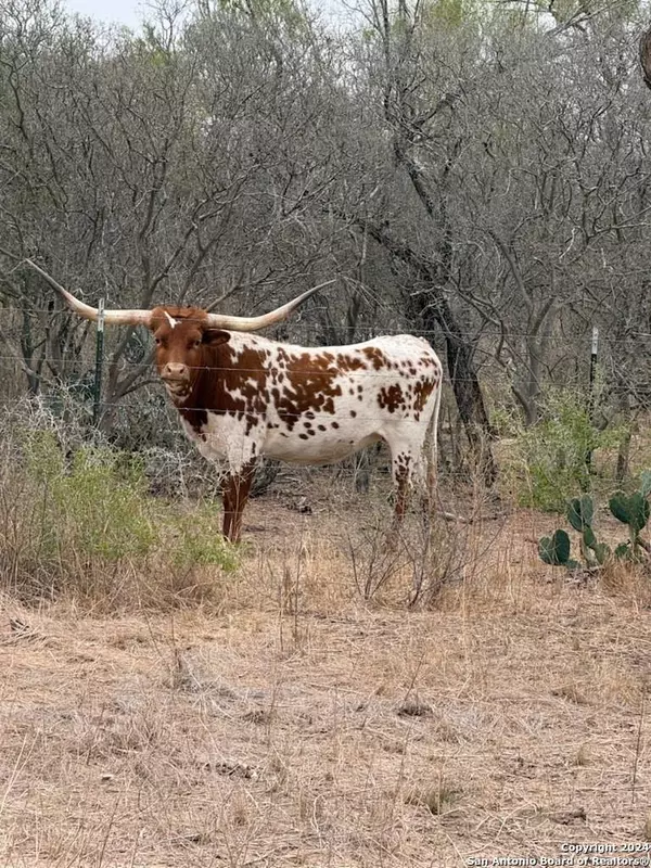 5106 State Highway 173, Bigfoot, TX 78005