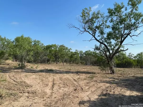 5106 State Highway 173, Bigfoot, TX 78005