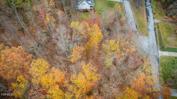 Tbd Oak Forest (Lot 24) PL, Kingsport, TN 37664
