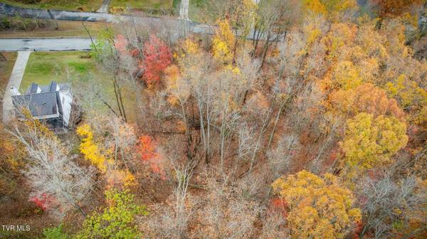 Tbd Oak Forest (Lot 24) PL, Kingsport, TN 37664