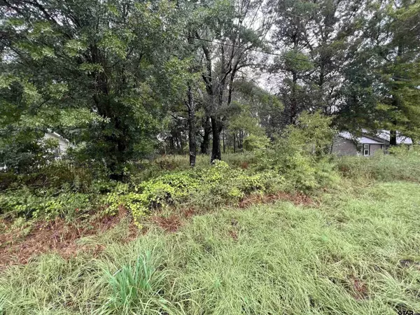 17422 Patrick St, Flint, TX 75762