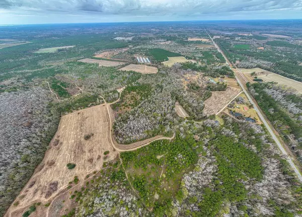 TBD Whitmire Ln, Manning, SC 29102