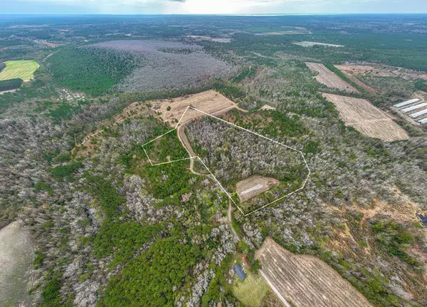 TBD Whitmire Ln, Manning, SC 29102