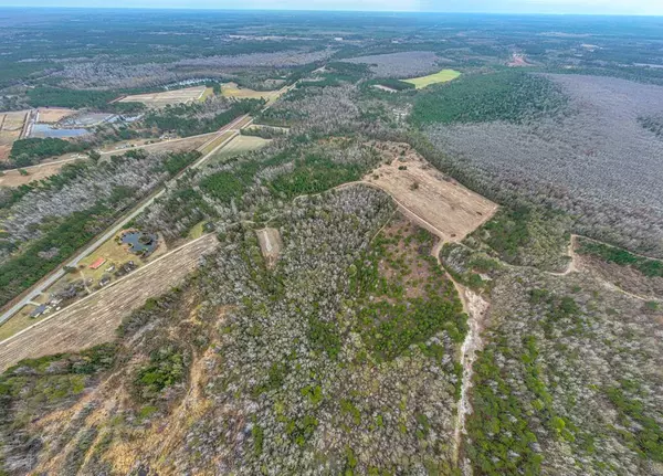 TBD Whitmire Ln, Manning, SC 29102