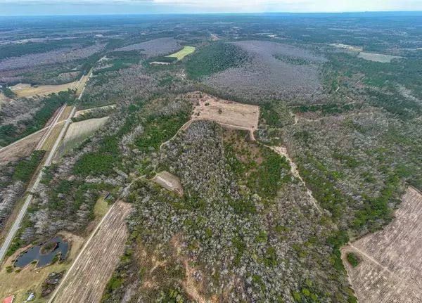 TBD Whitmire Ln, Manning, SC 29102