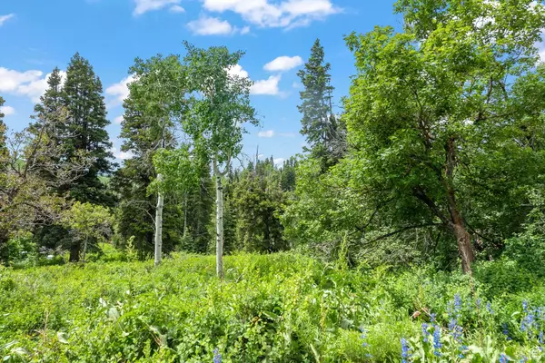 1565 NAVAJO RD #33, Wanship, UT 84017