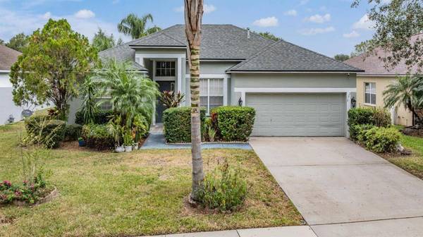 2619 ABBEY GROVE DR, Valrico, FL 33594