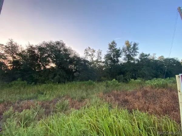 6075 N Lecanto HWY, Beverly Hills, FL 34465