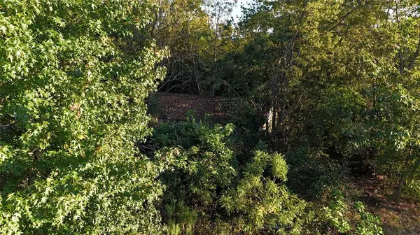 TBD CR 3847, Hawkins, TX 75765