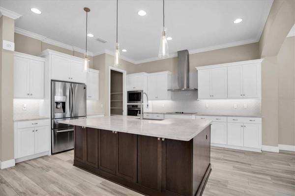 13114 EAGLES ENTRY DR, Odessa, FL 33556