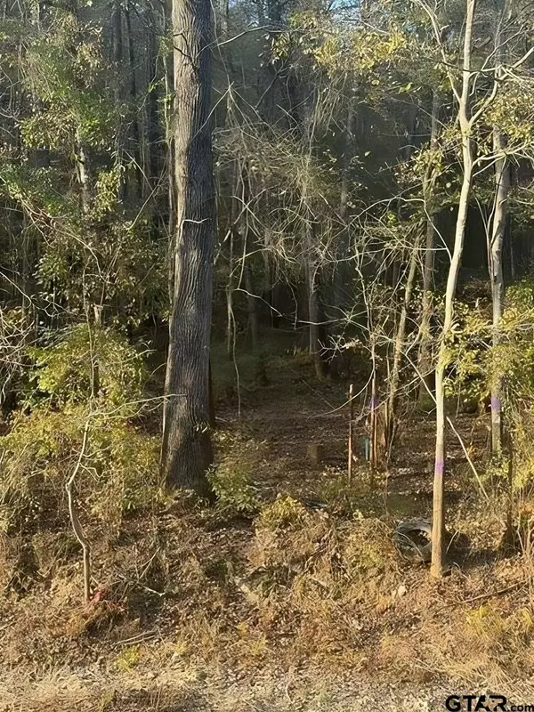 TBD S Hwy 135, Troup, TX 75789