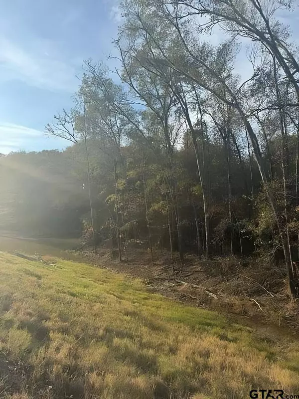 TBD S Hwy 135, Troup, TX 75789