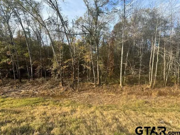 TBD S Hwy 135, Troup, TX 75789