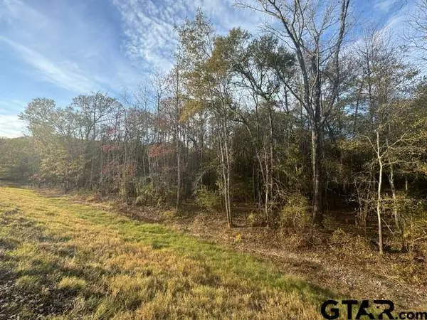 TBD S Hwy 135, Troup, TX 75789