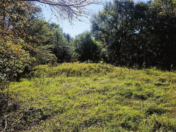 TBD Henry IV Trace, Mabank, TX 75156