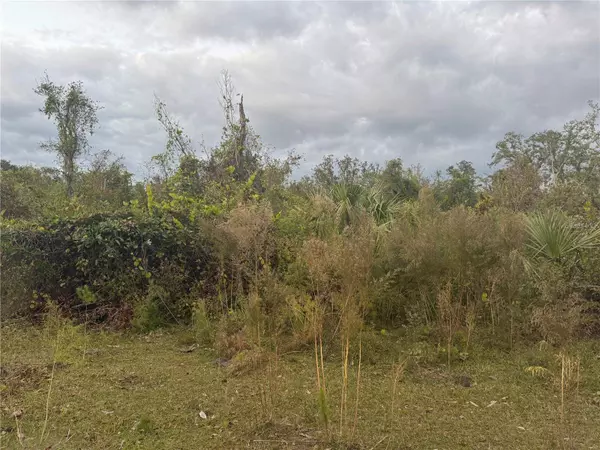 SW ADVENTURE WAY, Arcadia, FL 34266