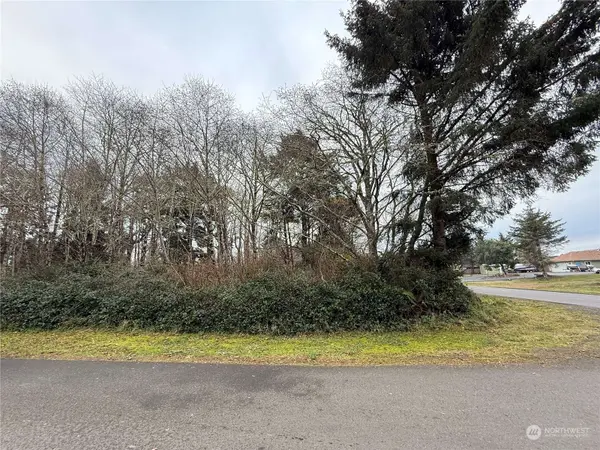 598 Chance A La Mer NE, Ocean Shores, WA 98569