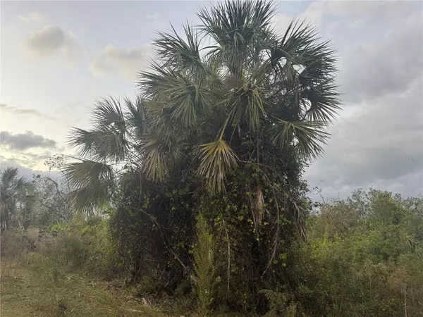 SW ADVENTURE WAY, Arcadia, FL 34266