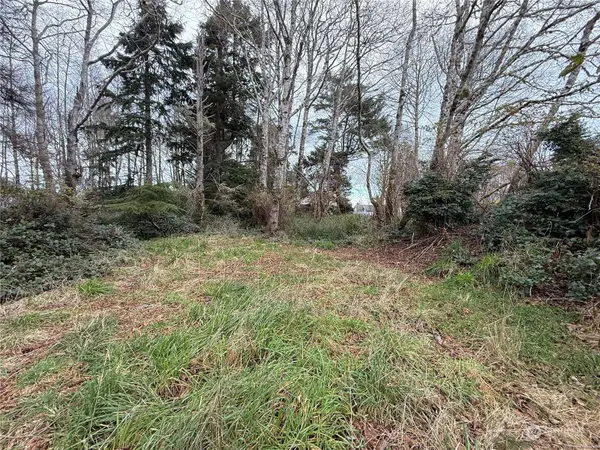 596 Chance A La Mer, Ocean Shores, WA 98569