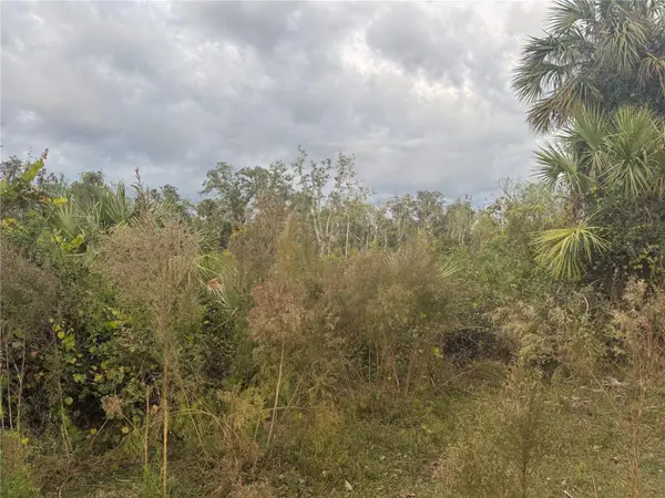 SW ADVENTURE WAY, Arcadia, FL 34266