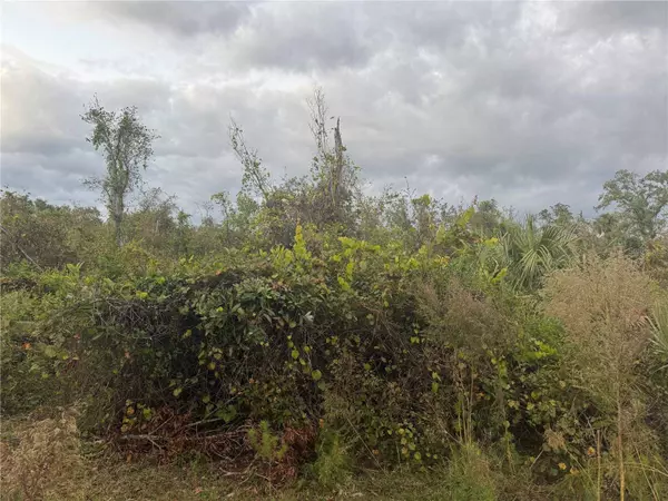 SW ADVENTURE WAY, Arcadia, FL 34266