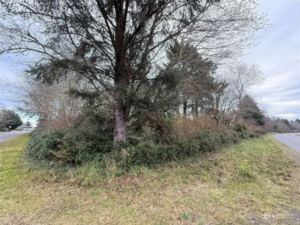 598 Chance A La Mer NE, Ocean Shores, WA 98569