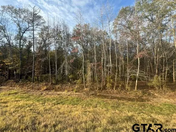 TBD S Hwy 135, Troup, TX 75789