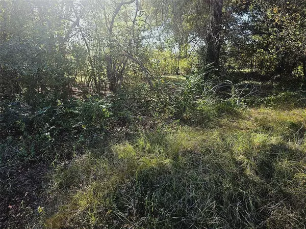 TBD Henry IV Trace, Mabank, TX 75156