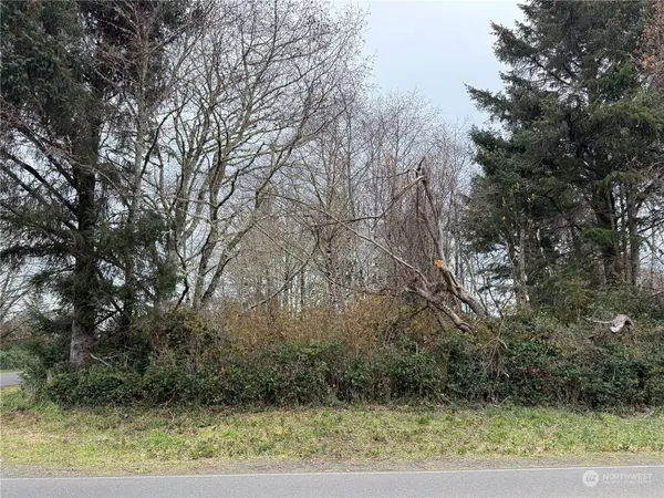 598 Chance A La Mer NE, Ocean Shores, WA 98569