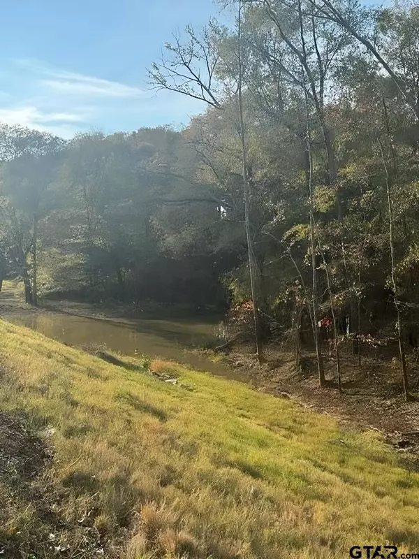 TBD S Hwy 135, Troup, TX 75789