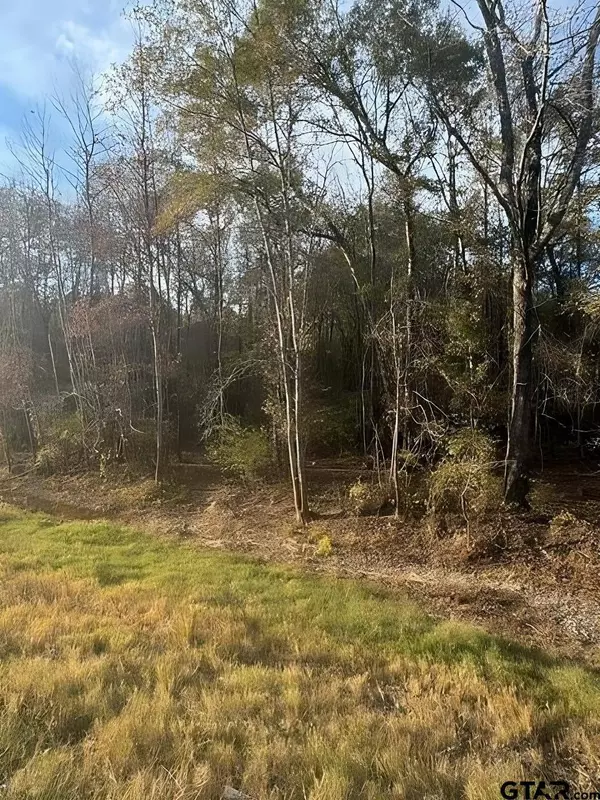 TBD S Hwy 135, Troup, TX 75789