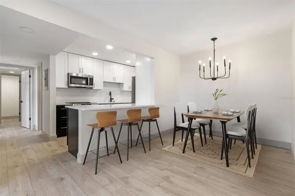 796 VILLAGE LAKE TER N #102, Saint Petersburg, FL 33716