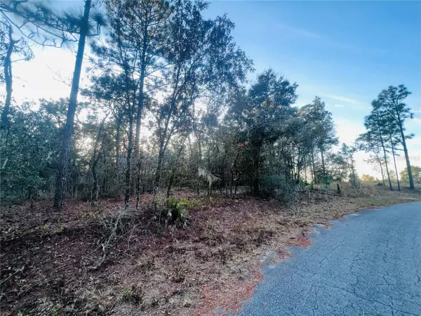 TBD SW 66TH LOOP, Dunnellon, FL 34432