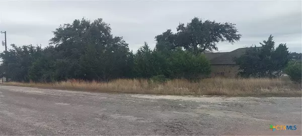 106 Jacob Dearing, Blanco, TX 78606