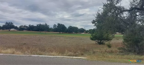 118 Frank Jones, Blanco, TX 78606