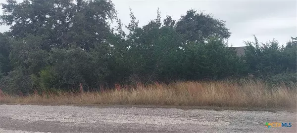 106 Jacob Dearing, Blanco, TX 78606