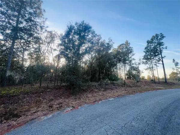 TBD SW 66TH LOOP, Dunnellon, FL 34432