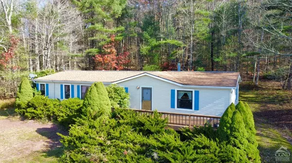 544 North Settlement, Ashland, NY 12407