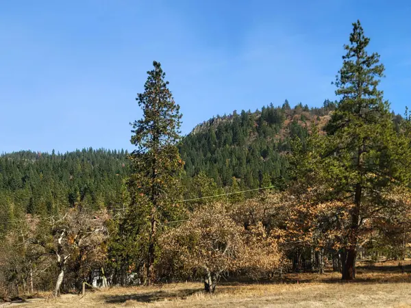 Tyler Cr RD, Ashland, OR 97520