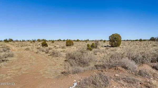 4549 MOHAVE Trail #138, Williams, AZ 86046